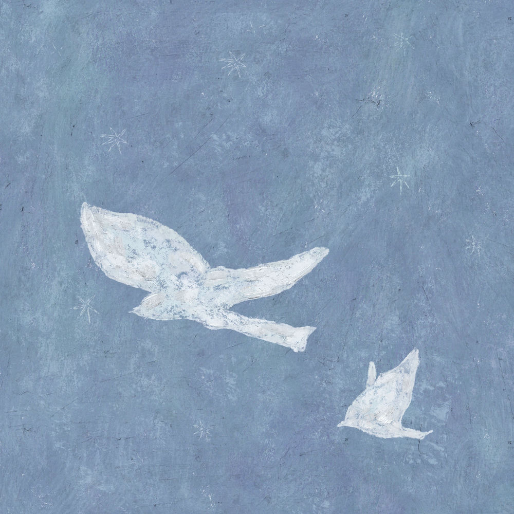 Late Dawn by Bily Acoustie